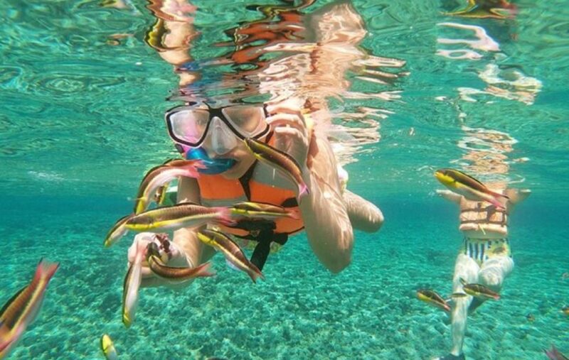 From Huatulco: Snorkel and La Entrega Beach Visit - Booking Information