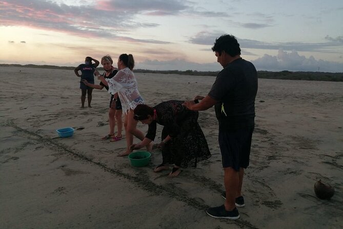 From Huatulco: Turtle Release & Bioluminescence - Customer Experiences