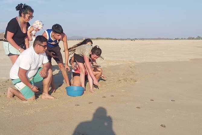 From Huatulco: Turtle Release & Bioluminescence - Bioluminescent Plankton