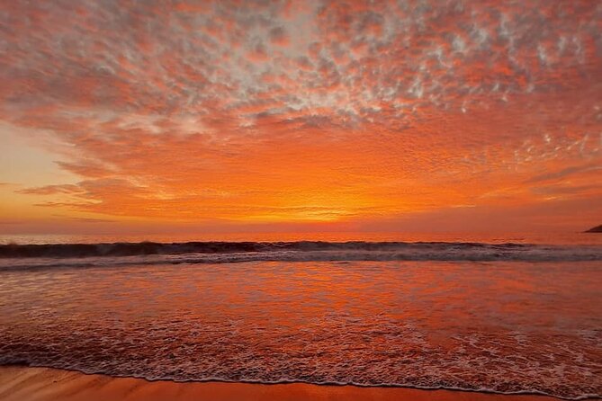 From Huatulco: Turtle Release & Bioluminescence - Tour Logistics