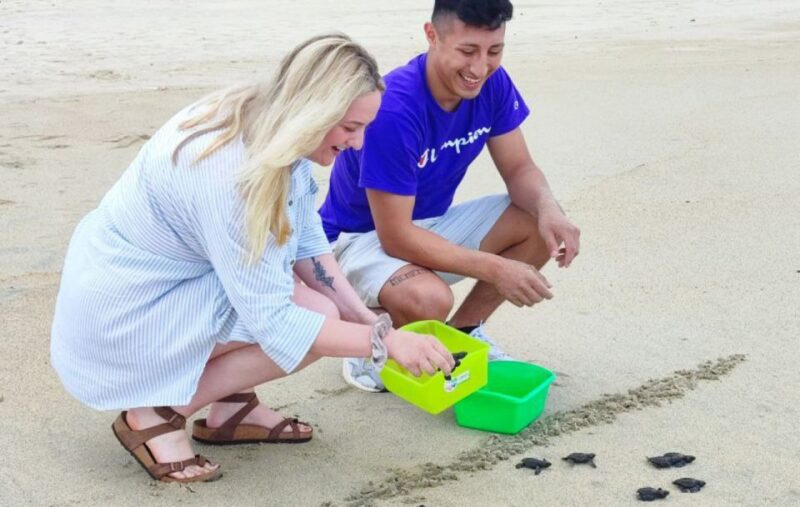 From Huatulco:Turtle Release and Bioluminescence Tour - Bioluminescence Experience
