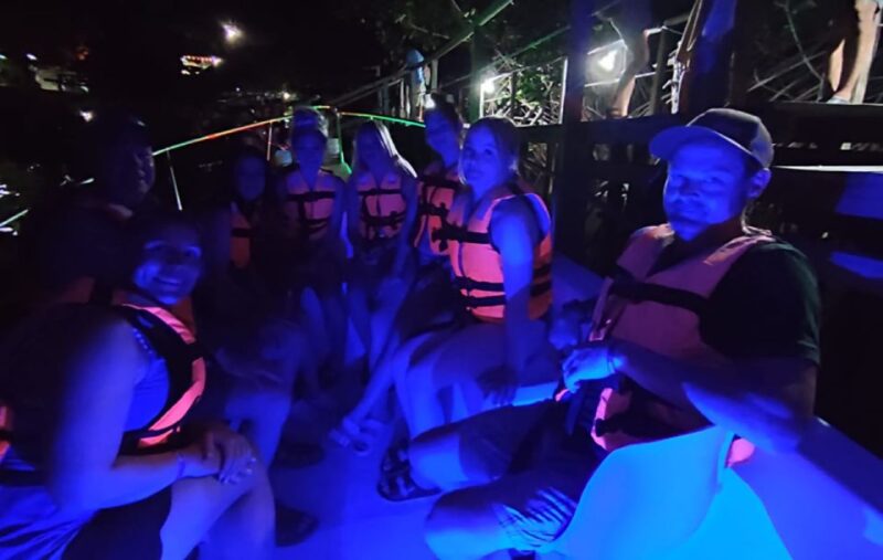 From Huatulco:Turtle Release and Bioluminescence Tour - Booking and Availability