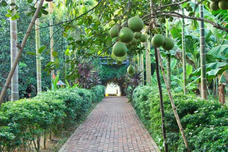 From Hue: 1 Day COOKING CLASS in THUY BIEU VILLAGE - Highlights and Activities