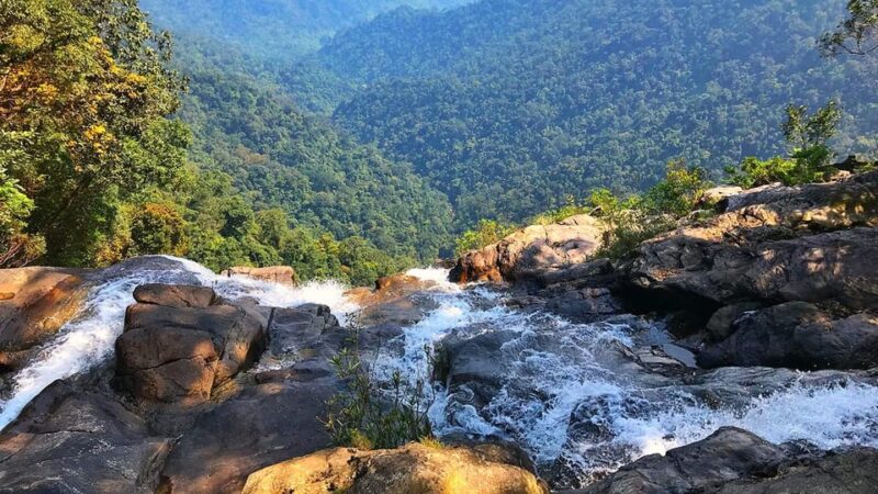 From Hue : Bach Ma National Park Hiking Day Adventure - Key Points