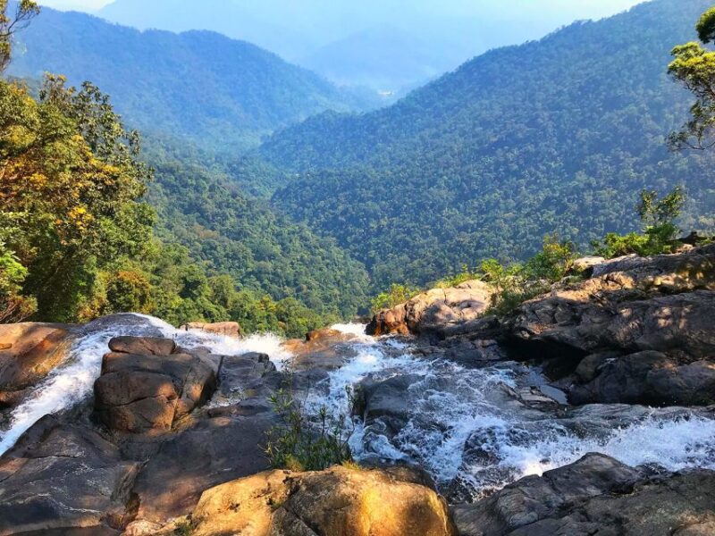 From Hue: Bach Ma National Park Private Car Transfer - Highlights
