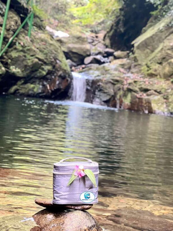 From Hue: Bach Ma National Park Tour With Picnic Lunch - Customer Reviews