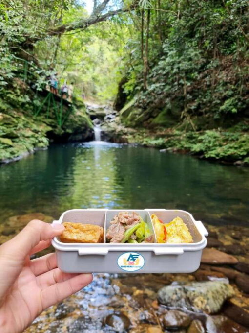 From Hue: Bach Ma National Park Tour With Picnic Lunch - Exploring Bach Ma National Park