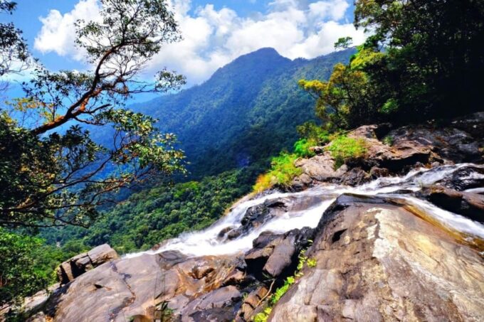 From Hue: Bach Ma National Park Trekking Day Trip - Additional Details