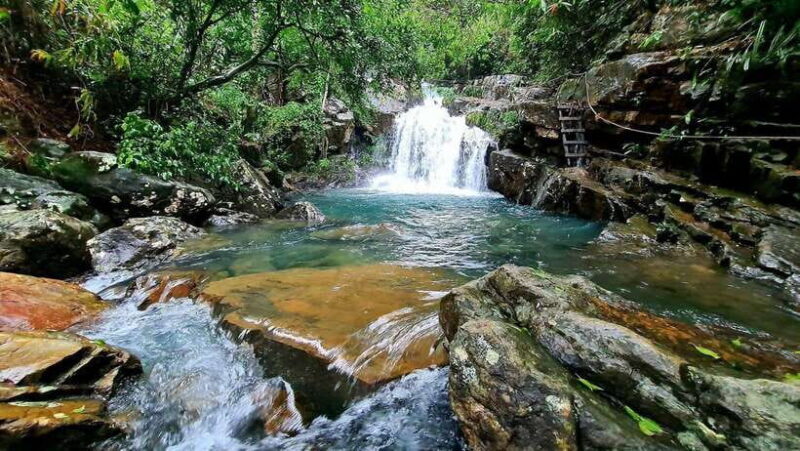 From Hue: Botanic Garden, Paradise Cave, Phong Nha Cave Tour - Frequently Asked Questions