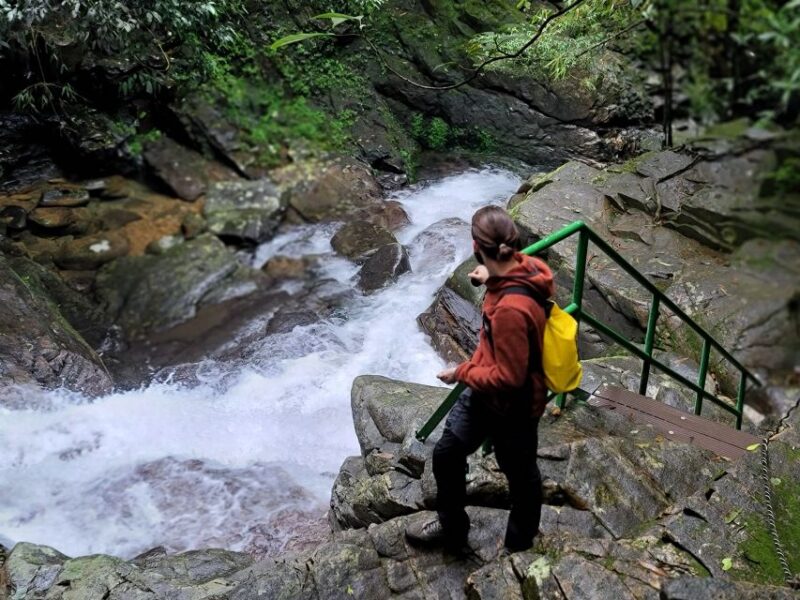 From Hue: Camping Trip to Bach Ma National Park - Savoring Picnic and BBQ