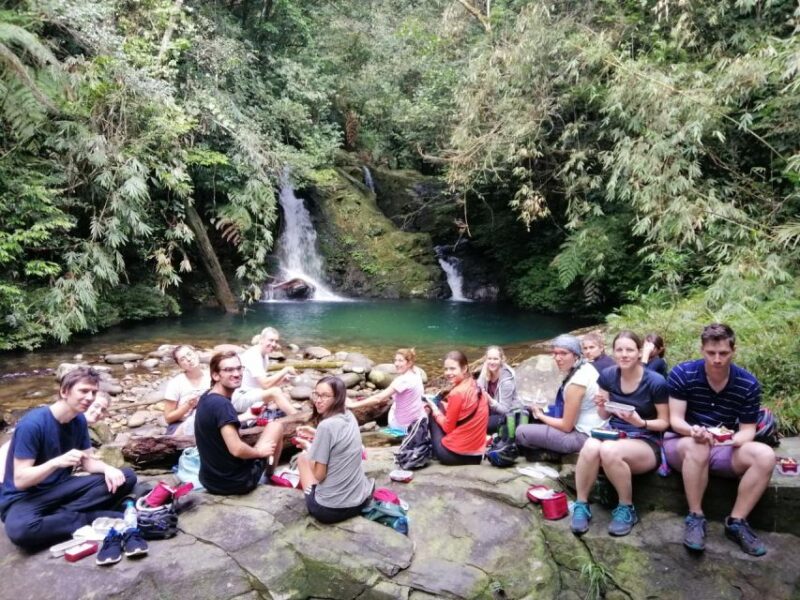 From Hue/Da Nang/Hoi An: Bach Ma National Park Trekking Tour - Pricing and Availability