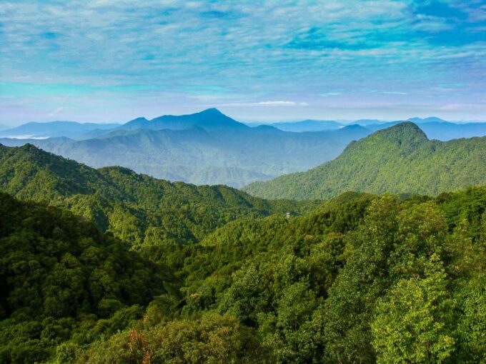 From Hue/Da Nang/Hoi An: Bach Ma National Park Trekking Tour - Recap