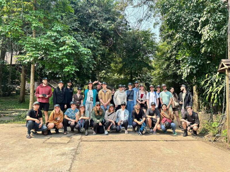 From Hue: Phong Nha Cave & Paradise Cave Full-Day Trip - Trip Overview and Pricing