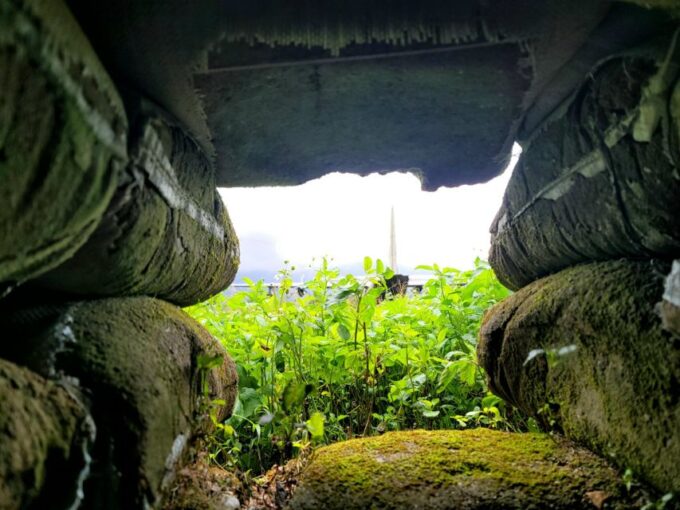 From Hue: Private Half-Day DMZ Tour With Vinh Moc Tunnels - Pickup and Drop-off Details