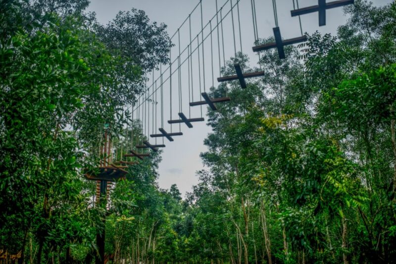From Hue: Thanh Tan Hot Spring Zipline and Highwire Tour - Itinerary