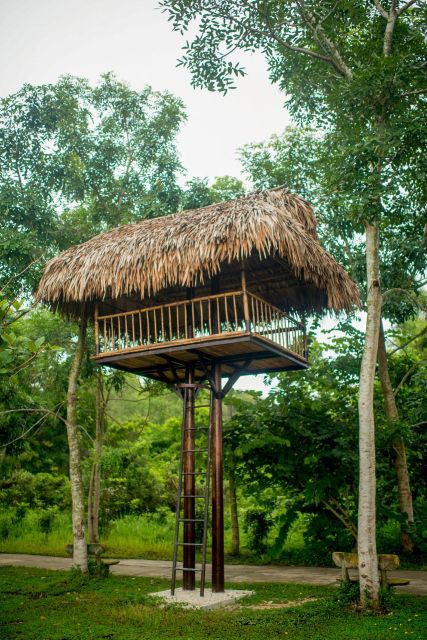 From Hue: Thanh Tan Hot Spring Zipline and Highwire Tour - Inclusions