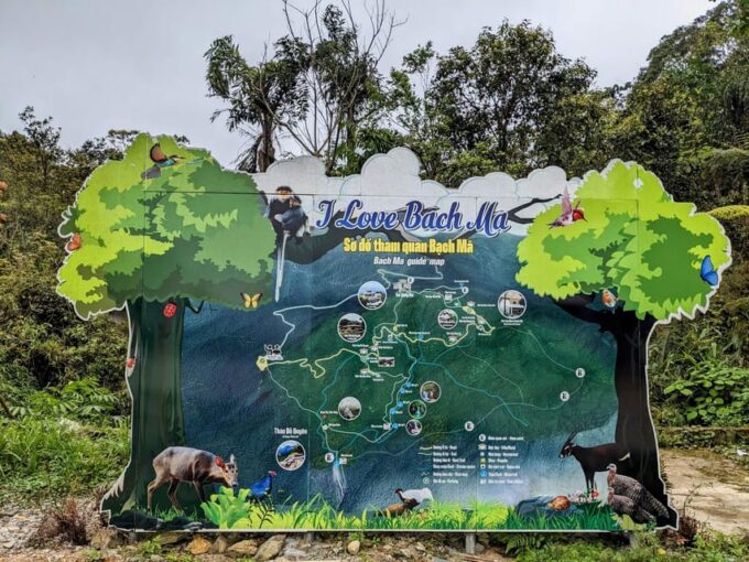 From Hue : Trekking Bach Ma National Park Day Trip - Getting to Bach Ma National Park