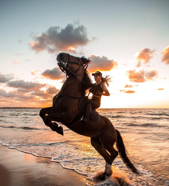From Hurghada: Makadi Bay Horse Riding Tour - Inclusions and Exclusions