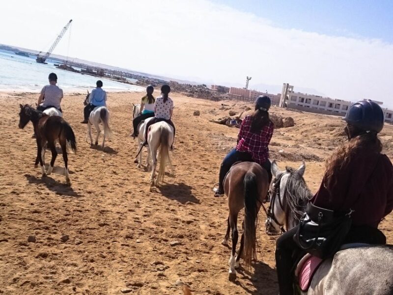 From Hurghada: Makadi Bay Horse Riding Tour - Participant Information
