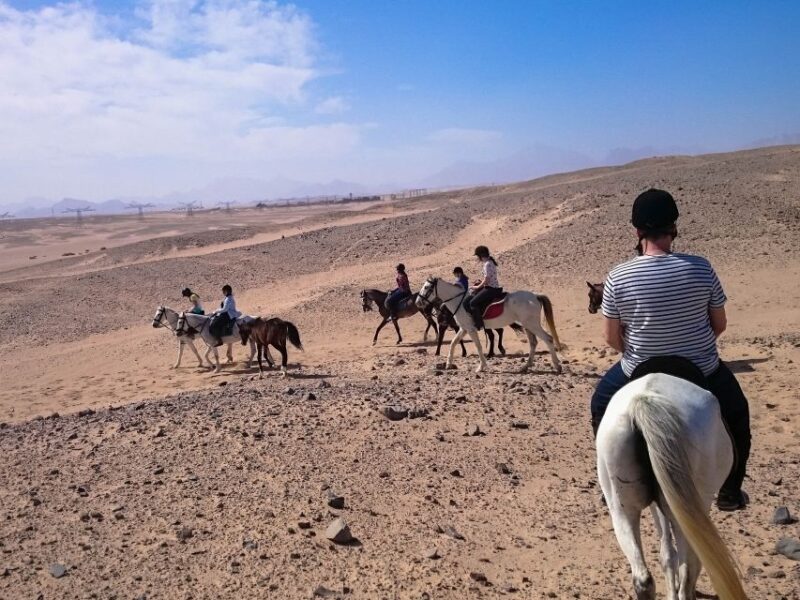 From Hurghada: Makadi Bay Horse Riding Tour - Customer Reviews and Ratings