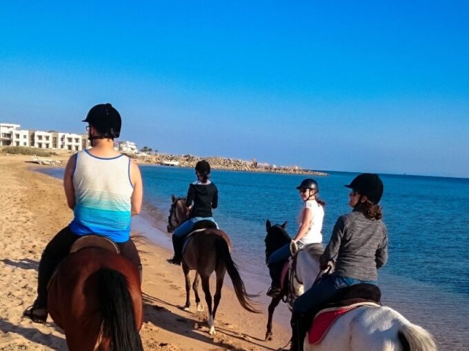 From Hurghada: Makadi Bay Horse Riding Tour - Horse Riding Highlights