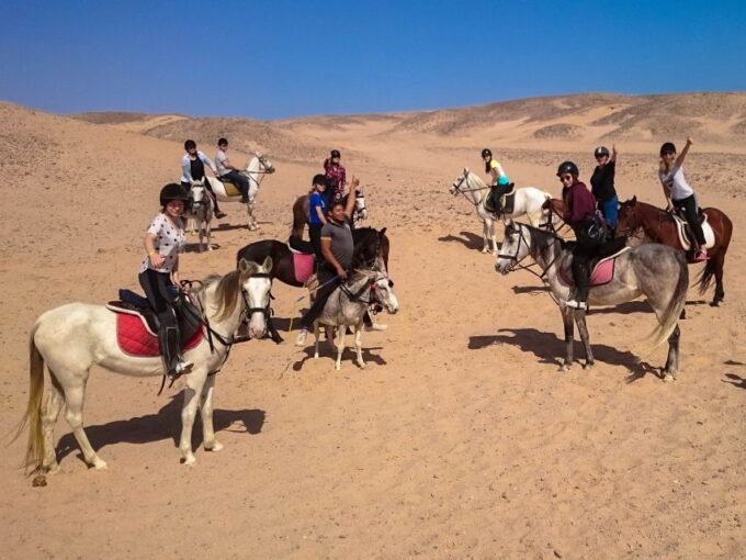 From Hurghada: Makadi Bay Horse Riding Tour - Booking Information