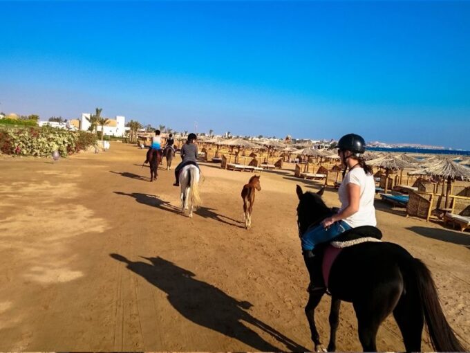 From Hurghada: Makadi Bay Horse Riding Tour - Frequently Asked Questions