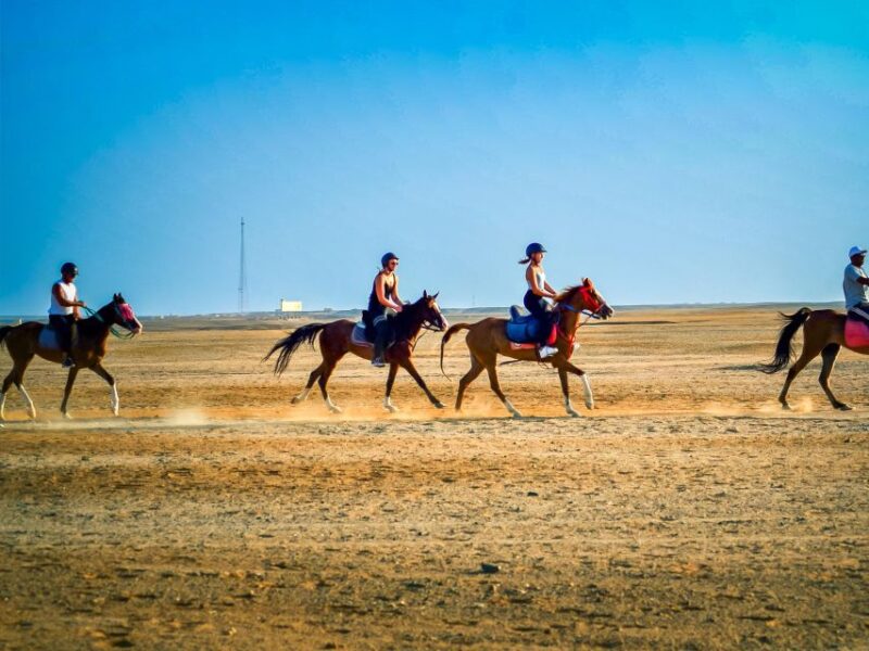 From Hurghada: Red Sea Sunrise and Desert Horseback Riding - Key Points