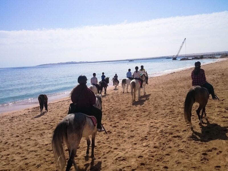 From Hurghada: Red Sea Sunrise and Desert Horseback Riding - Pricing and Availability