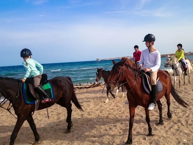 From Hurghada: Red Sea Sunrise and Desert Horseback Riding - Itinerary Details