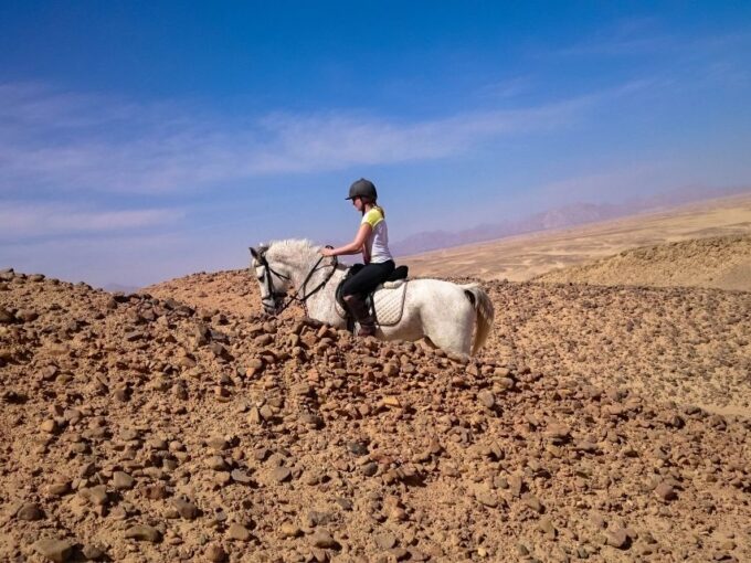From Hurghada: Red Sea Sunrise and Desert Horseback Riding - Pickup and Dropoff Locations