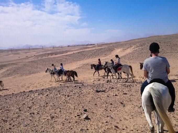 From Hurghada: Red Sea Sunrise and Desert Horseback Riding - Important Information