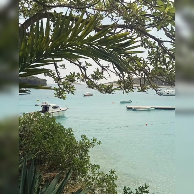 From Hvar: Pakleni Islands Private Boat Tour - Inclusions