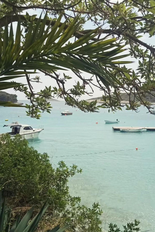 From Hvar: Pakleni Islands Private Boat Tour - Customer Feedback