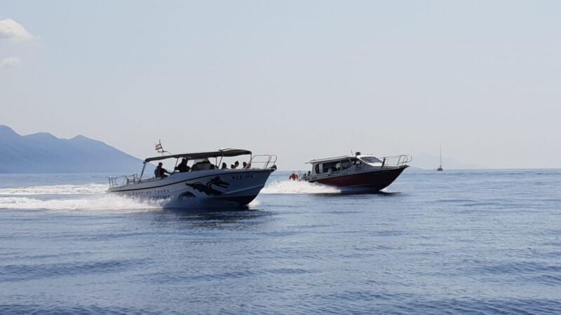 From Hvar: Unforgetable Tour to the Island Vis and Blue Cave - Tour Inclusions