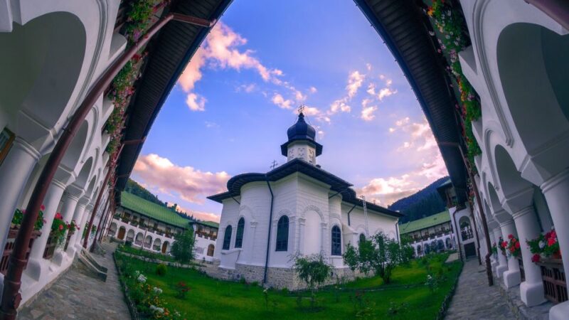 From Iasi: Rural Experience Fortress & Bison Reservation - Key Points