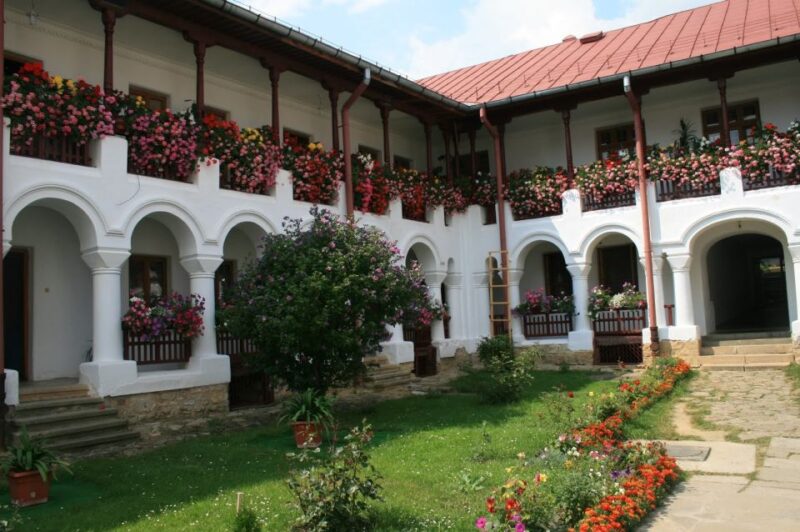 From Iasi: Rural Experience Fortress & Bison Reservation - Included Services