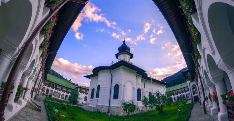 From Iasi: Rural Experience Fortress & Bison Reservation - Important Information