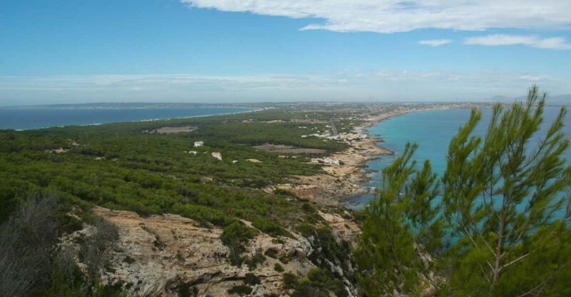 From Ibiza: Ferry and Guided Bus Excursion in Formentera - Experience and Highlights