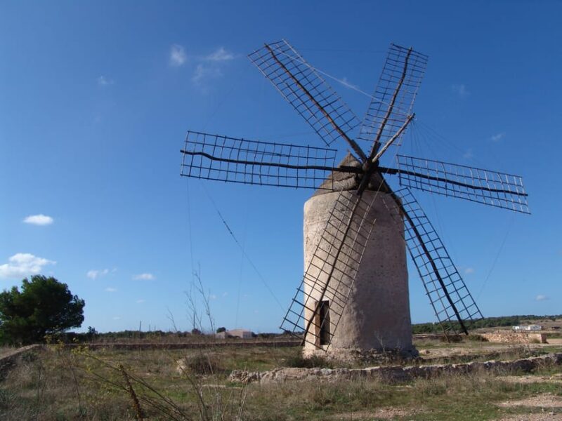 From Ibiza: Ferry and Guided Bus Excursion in Formentera - Meeting Point and Important Information