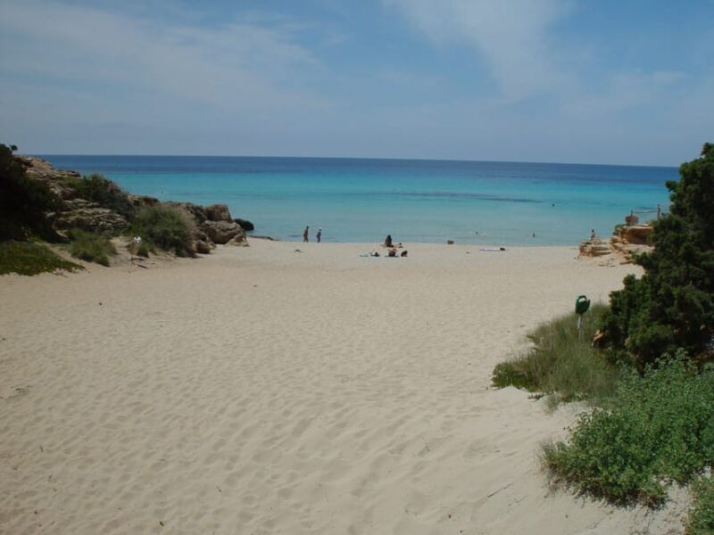 From Ibiza: Ferry and Guided Bus Excursion in Formentera - Customer Reviews and Ratings