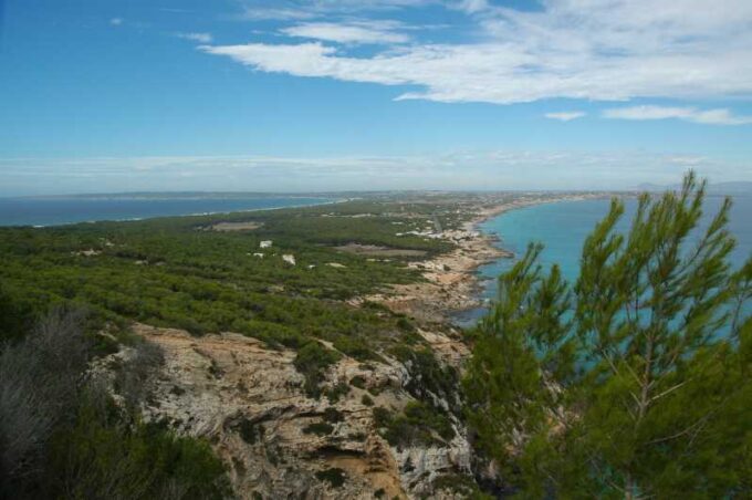 From Ibiza: Ferry and Guided Bus Excursion in Formentera - Exploring Formenteras Highlights