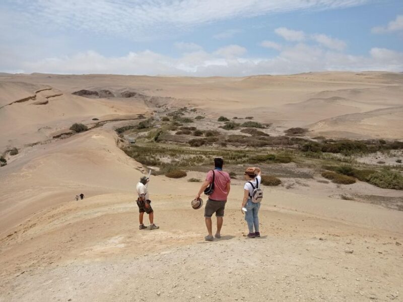 From Ica: Canyon of the Lost Day Trip - Experience Highlights