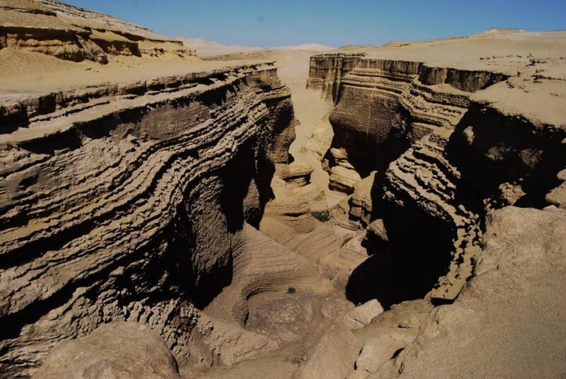 From Ica || Los Perdidos Canyon Excursion Full Day || - Customer Feedback
