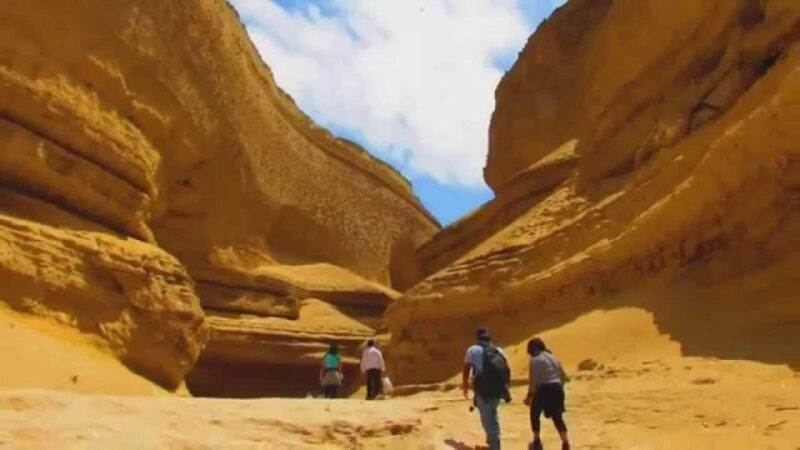 From Ica || Los Perdidos Canyon Excursion Full Day || - Admire Natural Shapes