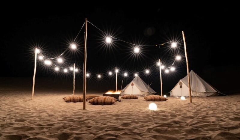 From Ica || Night in the Desert in Ica - Huacachina || - Contact and Booking Details