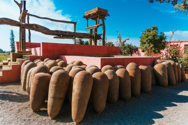 From Ica or Huacachina: Wine and Pisco Vineyards Tour - Pickup and Cancellation Details
