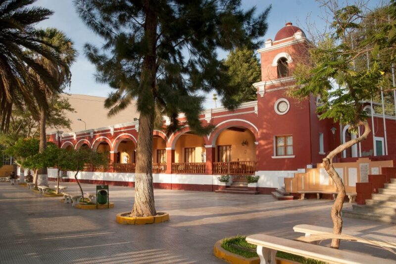 From Ica or Huacachina: Wine and Pisco Vineyards Tour - Tasting Experiences