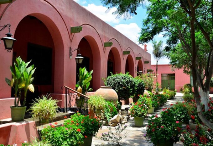 From Ica or Huacachina: Wine and Pisco Vineyards Tour - Whats Included