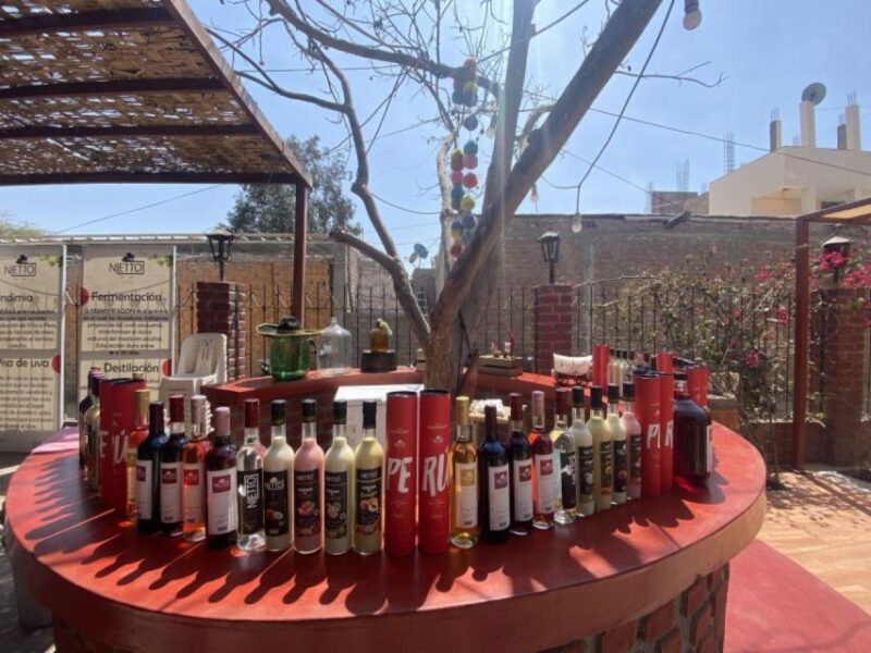 From Ica: Tour to Wine and Pisco Vineyards | Free Tasting | - Itinerary and Attractions